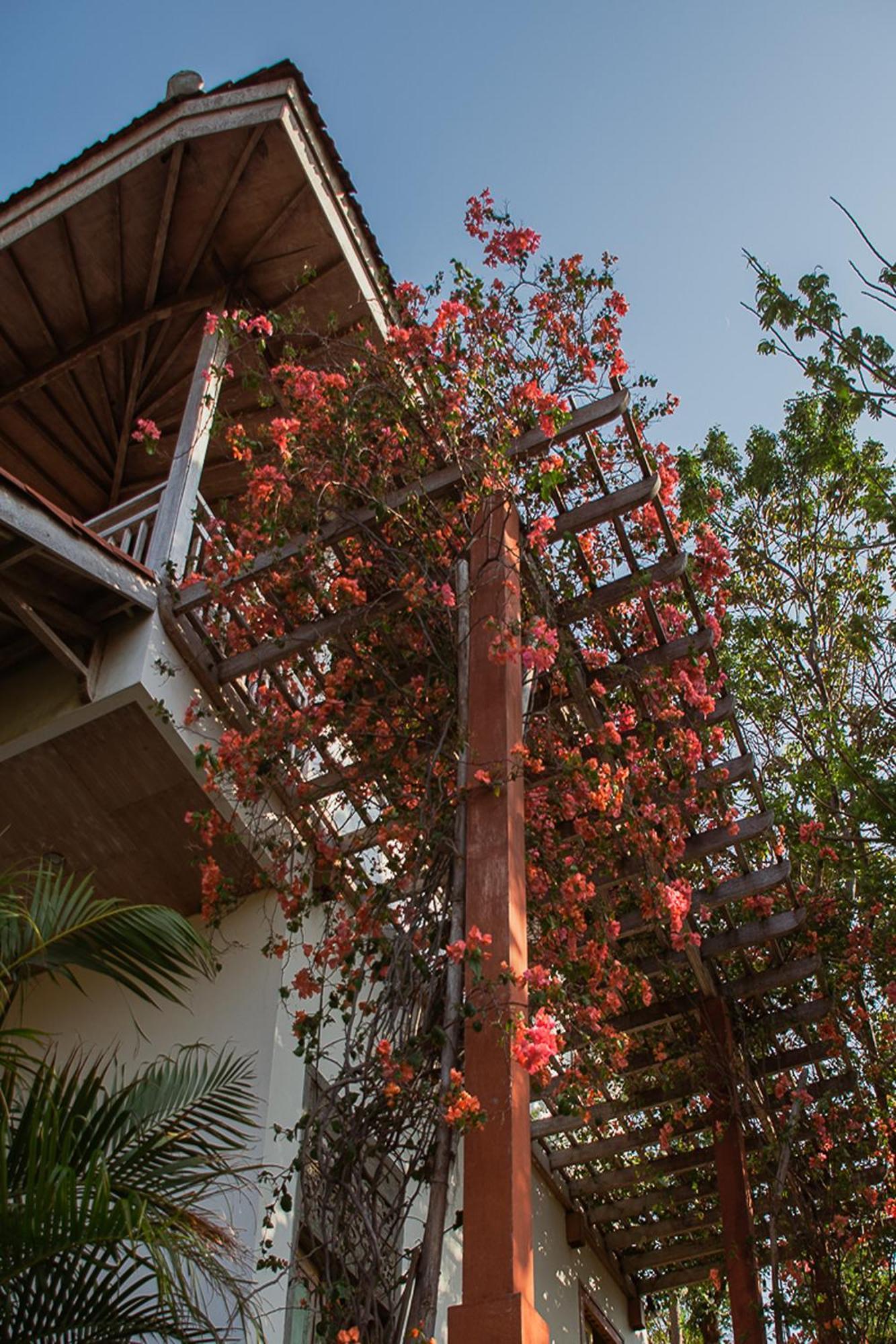 Bangsring Breeze Hotel Banyuwangi  Ngoại thất bức ảnh
